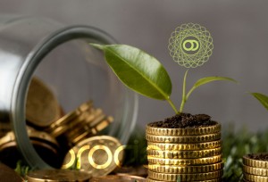 Il tesoro nascosto: Monete d'oro da collezione svelano un nuovo modo di investire con orodei24 Il tesoro nascosto: Monete d'oro da collezione svelano un nuovo modo di investire con orodei24